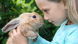 rabbit and child